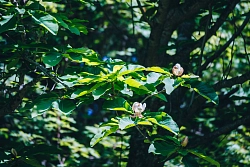 Экскурсионно-активный тур на Кунашир рис.5