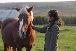 Конный тур в Костромскую область «Выходные в седле» на 3 дня рис.3
