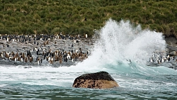 Экспедиционный круиз к Антарктическому полуострову «Вся Антарктика в одном путешествии» на судне «Си Спирит» (23 дня) рис.2