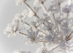 Джип-тур на Алтае «Алтайская зимняя сказка» рис.3