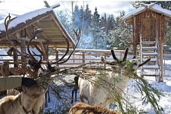 Individual excursion tour to Karelia «Winter in Karelia» рис.3