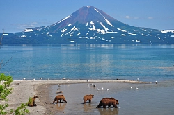 Активно-экскурсионный тур на Камчатку «Камчатские истории» рис.3