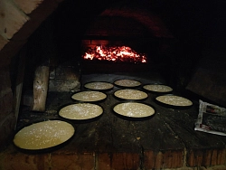 Конный тур в Костромскую область «Выходные в седле» на 2 дня рис.2