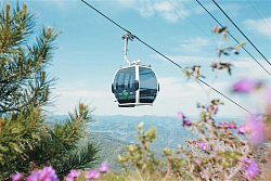 Экскурсионный тур на Алтае «Мир. Алтай. Май» рис.2