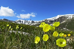 Комбинированный тур на Алтае «Телецкое озеро – Актру – плато Укок» рис.4
