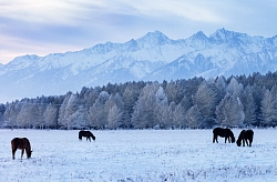 Комбинированный тур на Байкале «Встреча Нового года на Байкале» рис.5