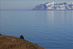 Экскурсионный тур на Шпицберген «По Исфьорду на катере» (4 дня) рис.2
