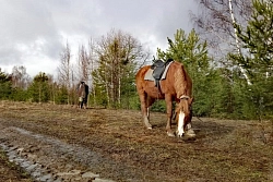 Конный тур в Костромскую область «Выходные в седле» на 2 дня рис.4