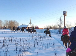 Конный тур в Костромскую область «Самый конный Новый год» рис.4