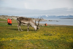 Круиз в Исландию, Гренландию и на Шпицберген на судне «Си Спирит» «Три жемчужины Арктики» рис.5