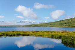 Тур на квадроциклах на Алтае «По бескрайним просторам плато Укок» рис.4