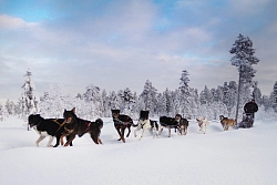 Комбинированный тур в Карелии «Самый новый Новый год» рис.5