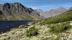 Берега реки