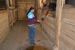 Конный тур в Костромскую область «Выходные в седле» на 3 дня рис.4