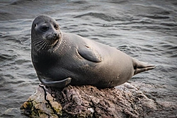Комбинированный тур в Бурятии с круизом по Байкалу на теплоходе «Александр Великий» «Дикими тропами» (7 дней) рис.4