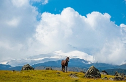 Конный тур на Кавказе «Верхом за приключениями» (зима – весна) рис.3