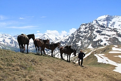 Комбинированный тур на Кавказе «От Архыза до Домбая» рис.3