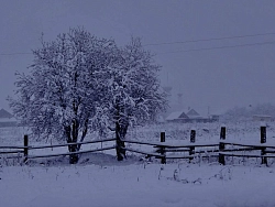 Конный тур в Костромскую область «Январь! Каникулы! Верхом!» рис.5