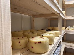 Экскурсионный тур «Кавказские каникулы с итальянским акцентом, 4 дня» рис.5