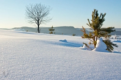  Конно-санный тур в Башкирии «Снежный Крака, 4 дня»  рис.4