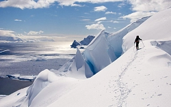 Экспедиционный круиз к Антарктическому полуострову на судне Ortelius/ Hondius рис.2