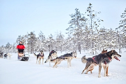 Комбинированный тур в Карелии «Зимнее волшебство» рис.4