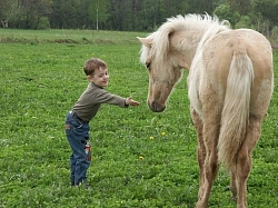 Конный тур в Башкирии «В сердце Южного Урала» рис.2