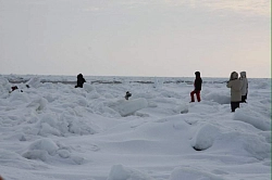 Экспедиция в Архангельской области «Наблюдение за бельками в Белом море» рис.5