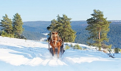 Комбинированный тур в Башкирии «Широкая Масленица»  рис.4
