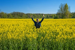 Велотур в Калининграде Bike Camp Mini. Новые маршруты рис.3