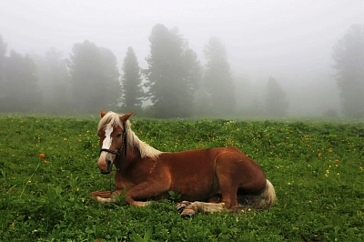 озера и перевалы Алтая на Алтае во время туристического маршрута