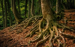 Комбинированный тур «Неделя в Адыгее» (осень–зима–весна) рис.5