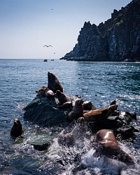 Комбинированный тур в Магаданской области «Жемчужины Охотского моря. Ямские острова и полуостров Пьягина» рис.3