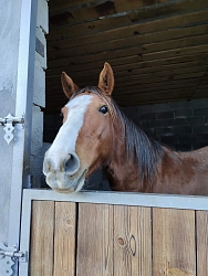 Конный тур на Кавказе «Верхом в горы» рис.5