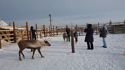 Экскурсионный тур на Кольский полуостров «Навстречу северному сиянию» рис.5