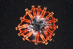 Комбинированный тур на Кольском полуострове «Беломорская сказка» рис.3