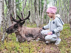 Экскурсионный тур на Кольский полуостров «По волнам Арктики» рис.4