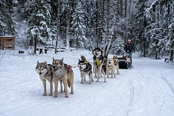 Комбинированный тур в Карелии «Новогодняя фантазия»  рис.4