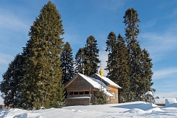 Комбинированный тур в Карелии «Новогодняя сказка» рис.4