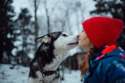 Комбинированный тур в Карелии «Ледяная Ладога» с проживанием в глэмпинге рис.3