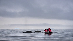 Экспедиционный круиз к Антарктическому полуострову «Мир айсбергов и пингвинов» на судне «Си Спирит» рис.3