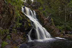 Джип-тур в Карелии «К водопаду «Белые мосты»» рис.4