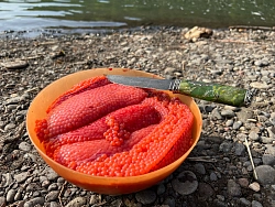 Комбинированный тур на Камчатку «Сплав и рыбалка на реке Быстрая» рис.5