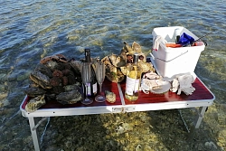 Экскурсионно-активный тур на Сахалин и Курильские острова «Сахалин – Итуруп» 8 дней рис.5