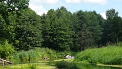 Сплав на байдарках во Владимирской области «Большое путешествие по Мещере» рис.3