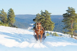  Конно-санный тур в Башкирии «Снежный Крака, 4 дня»  рис.3