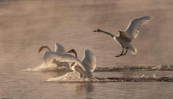Комбинированный тур на Алтае «Морозные узоры Алтая»  рис.4