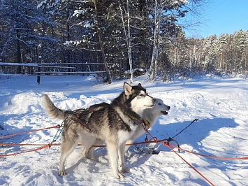 Excursion tour to Baikal «Winter Fairy Tale of lake Baikal» рис.1