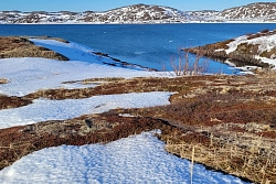 Сафари на снегоходах на Кольском полуострове «Белое безмолвие» рис.5