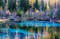 Экскурсионный тур на Алтае «Чуйские истории» рис.4